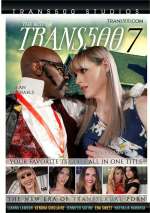 The Best Of Trans500 7