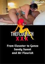 From Elevator To Gonzo Sandy Sweet And MrFlourish